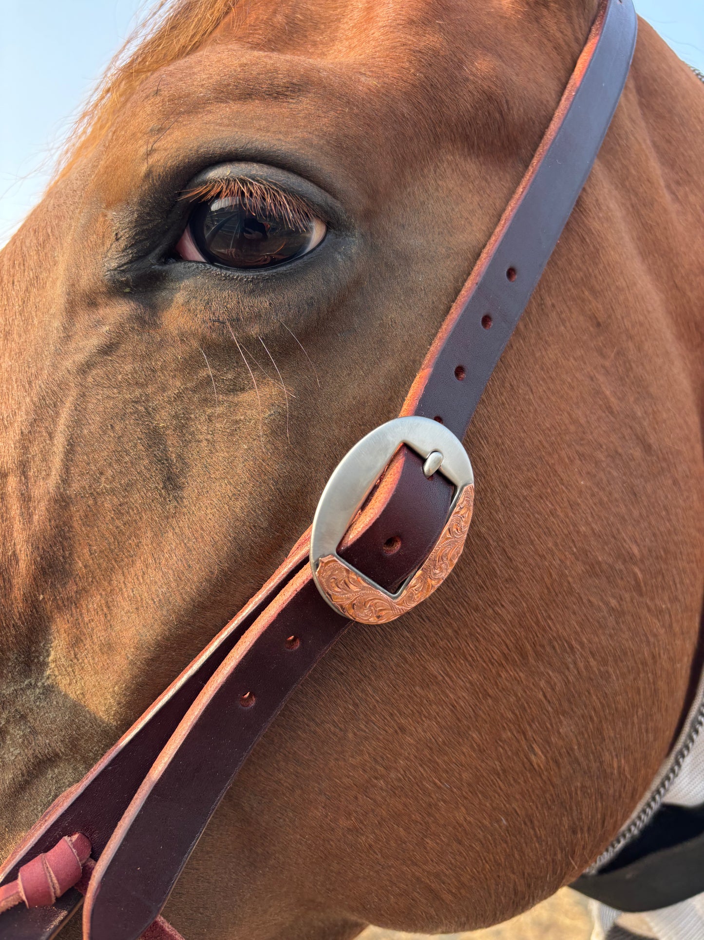 Latigo Headstall with Hand Engraved Buckle
